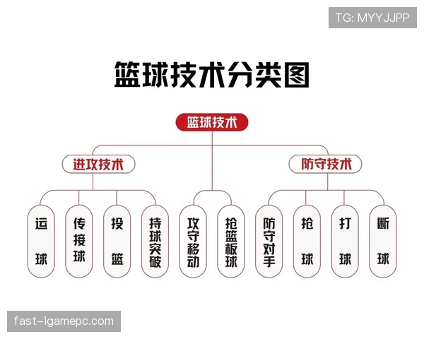 如何理解和遵守持球规则：篮球新手必看的基础知识点